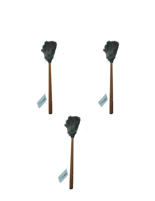 Plumero de plumas