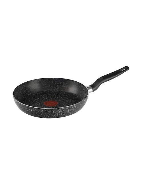 Sartén T-Fal acero inoxidable