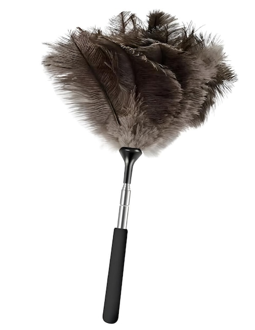 Plumero de plumas 1
