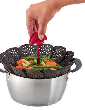 Vaporera Plegable T-Fal