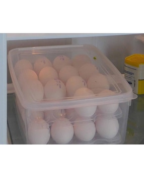 Organizador para 32 huevos Good & Good