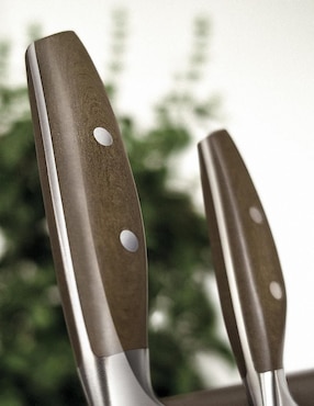 Set de cuchillos multiusos Wüsthof epicure 9 piezas
