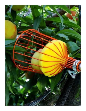 Recolector de fruta Truper