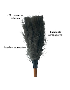 Plumero Farvisan de plumas