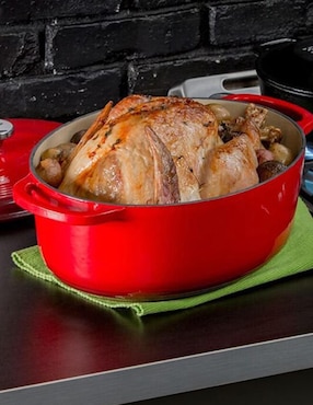 Horno holandes Lodge Enamel