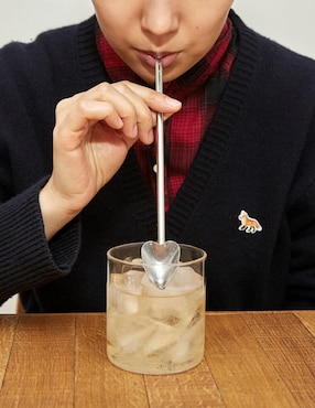 Agitador de bebidas Kikkerland de acero inoxidable