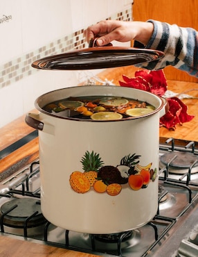 Olla Cinsa Ideal