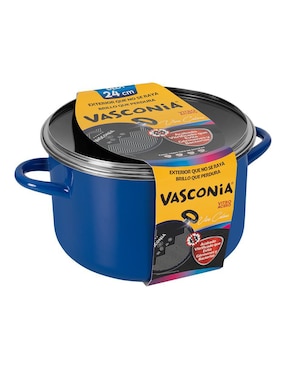 Olla con tapa Vasconia Viva Colors