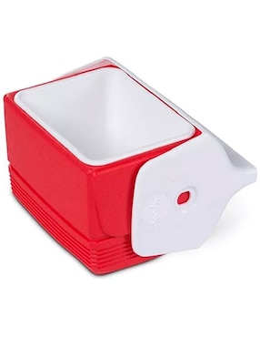 Hielera Igloo de plástico