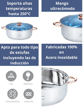 Arrocera convencional swiss silver