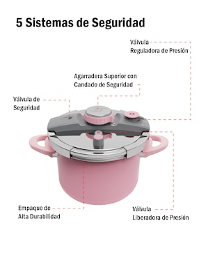 Olla presión Bogner