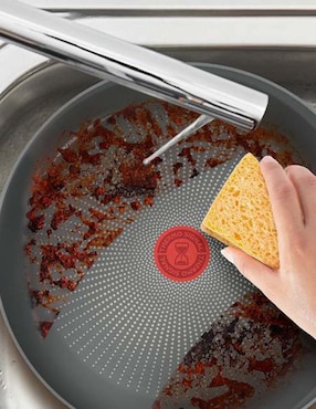 Sartén T-fal Halo Eucalyptus de aluminio