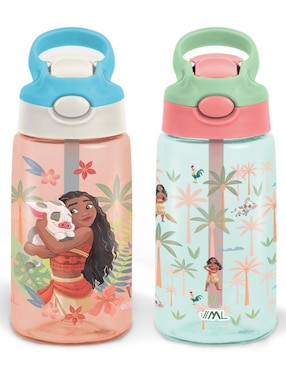 Set botella de agua Magma Life con tapa a prueba de derrame 450 ml