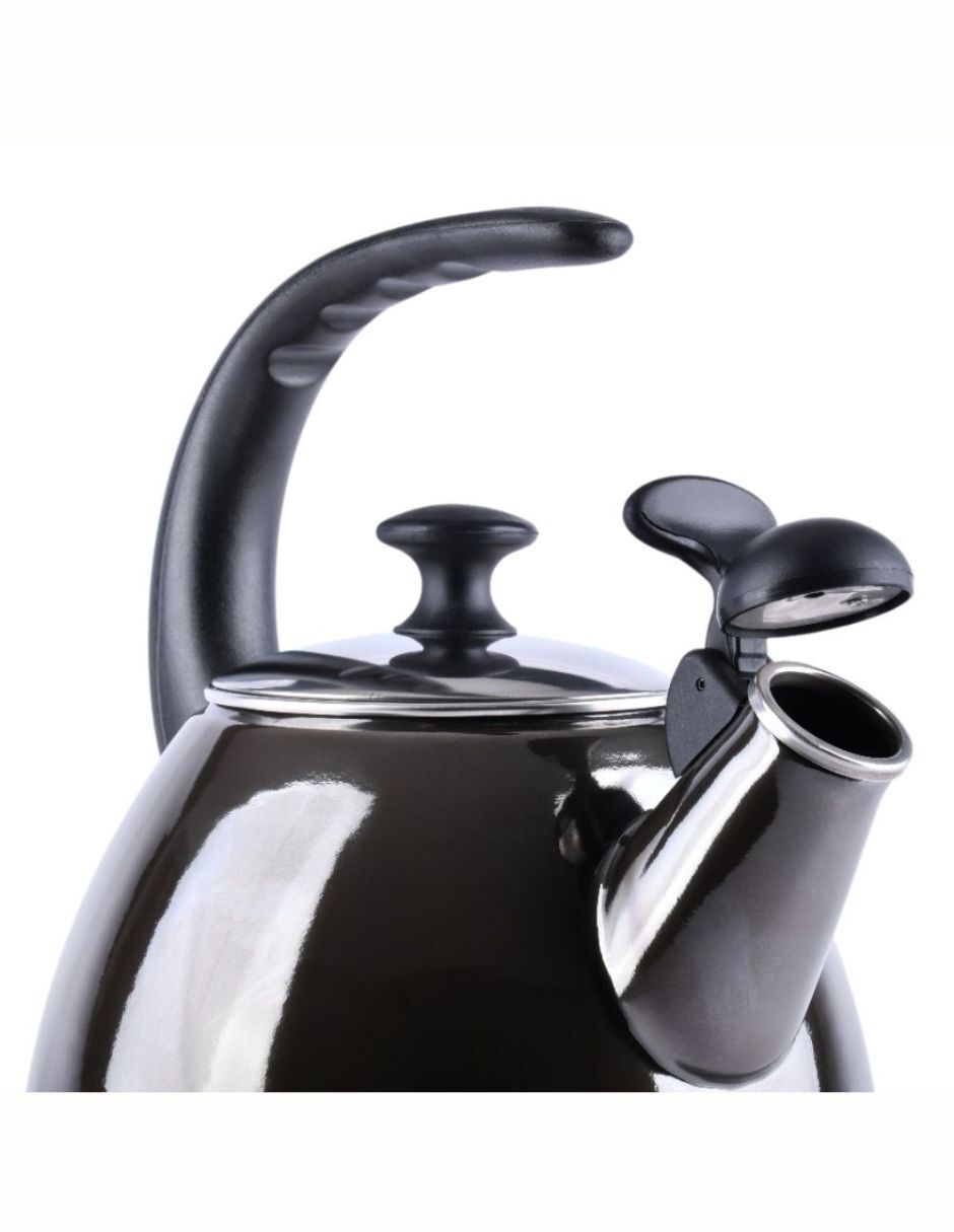 Tetera silbadora de acero 4