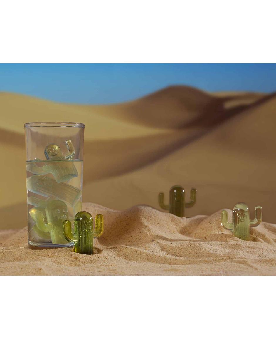 Molde para hielos Imagine Nation Ice Ice Cactus 2