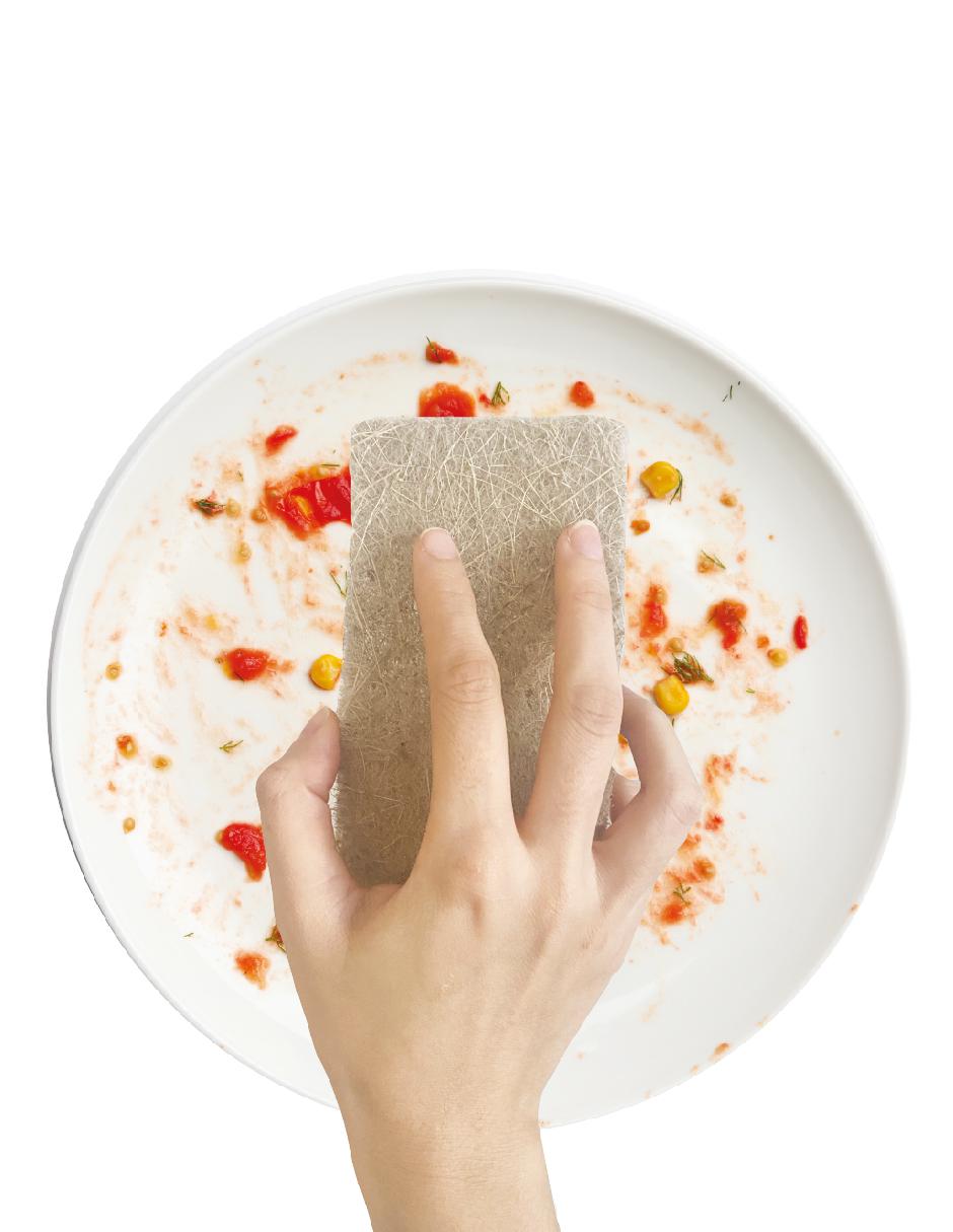 Esponja para hogar 2