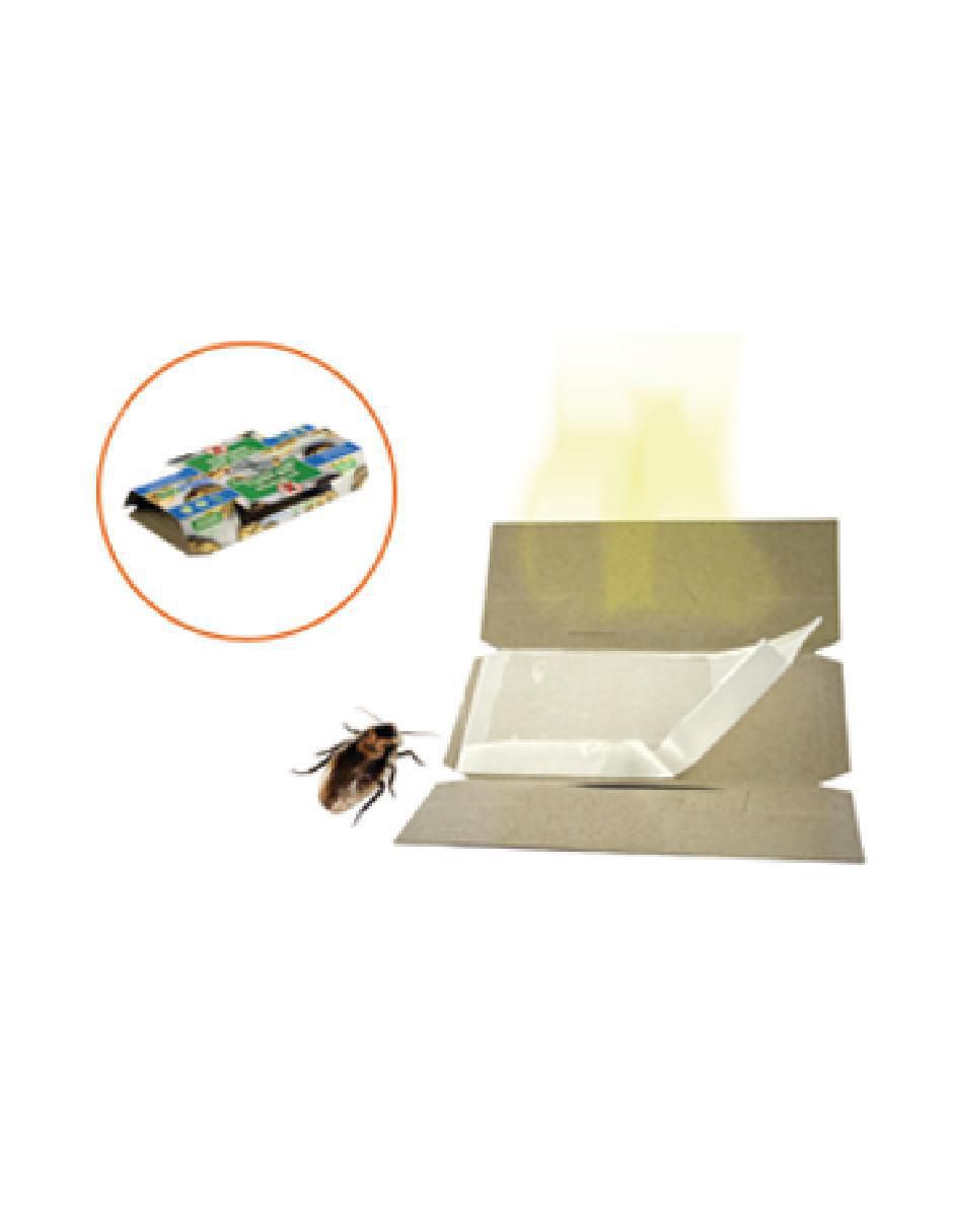 Kit de trampas de pegamento para cucarachas 30 piezas 2