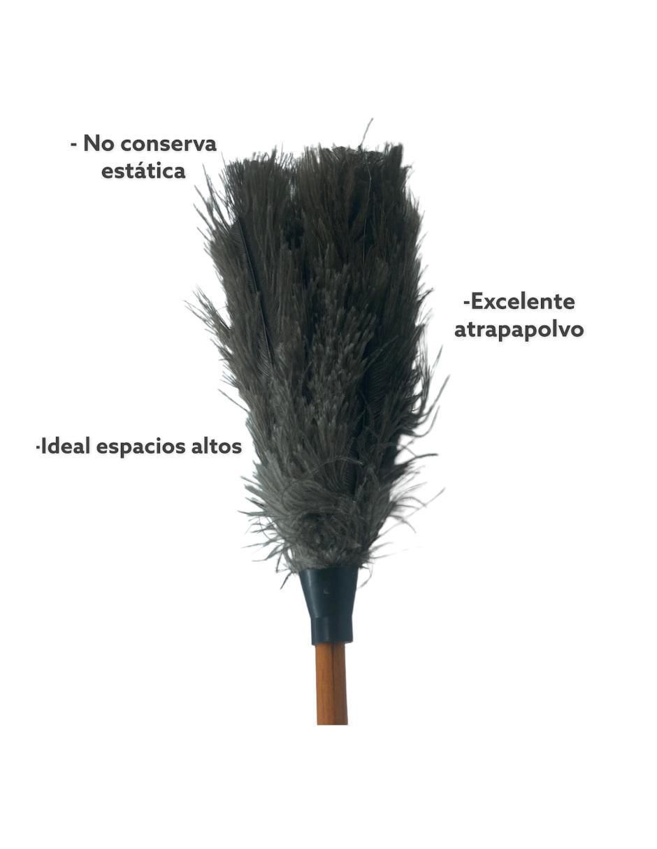 Plumero de plumas 3