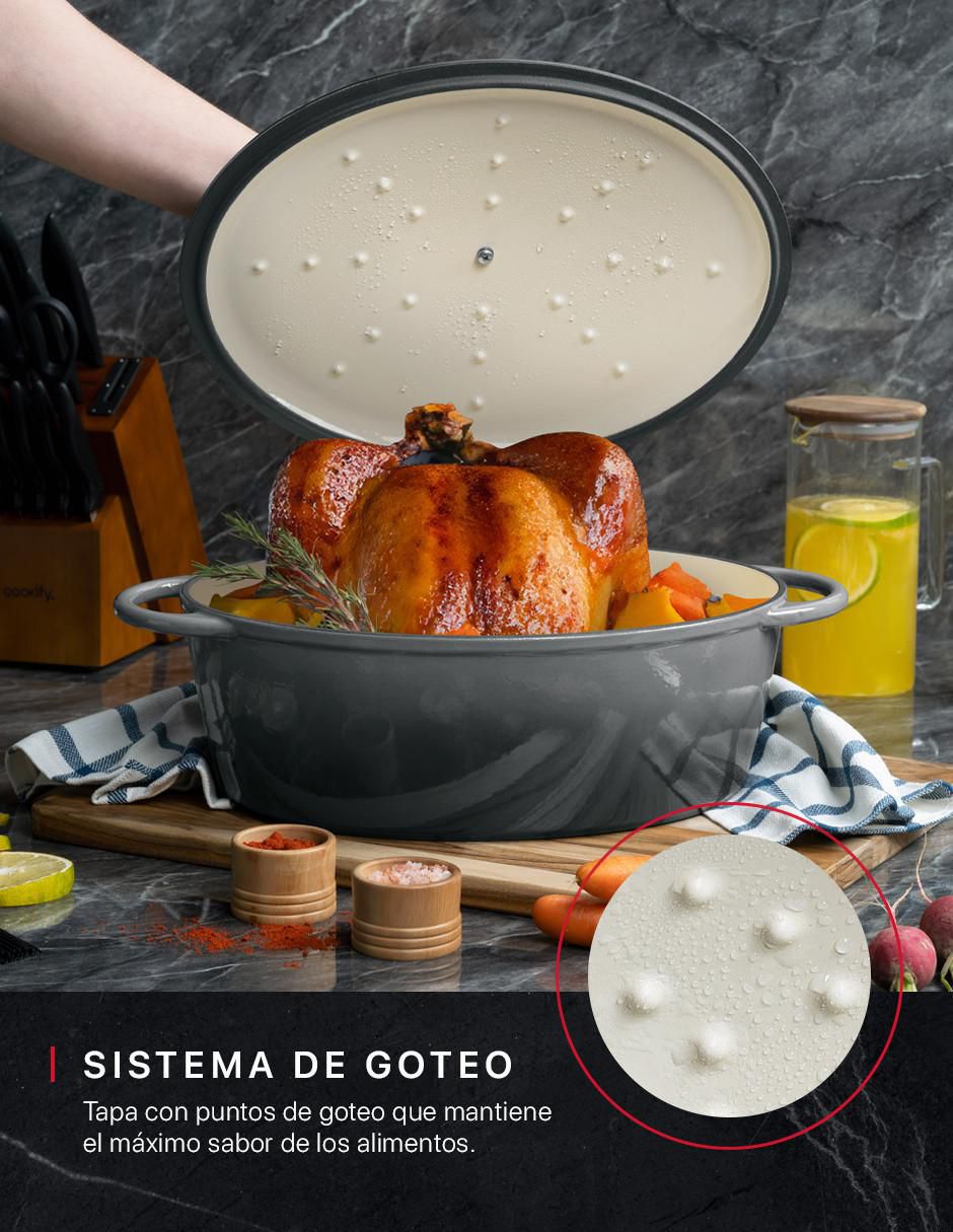 Horno holandés 3