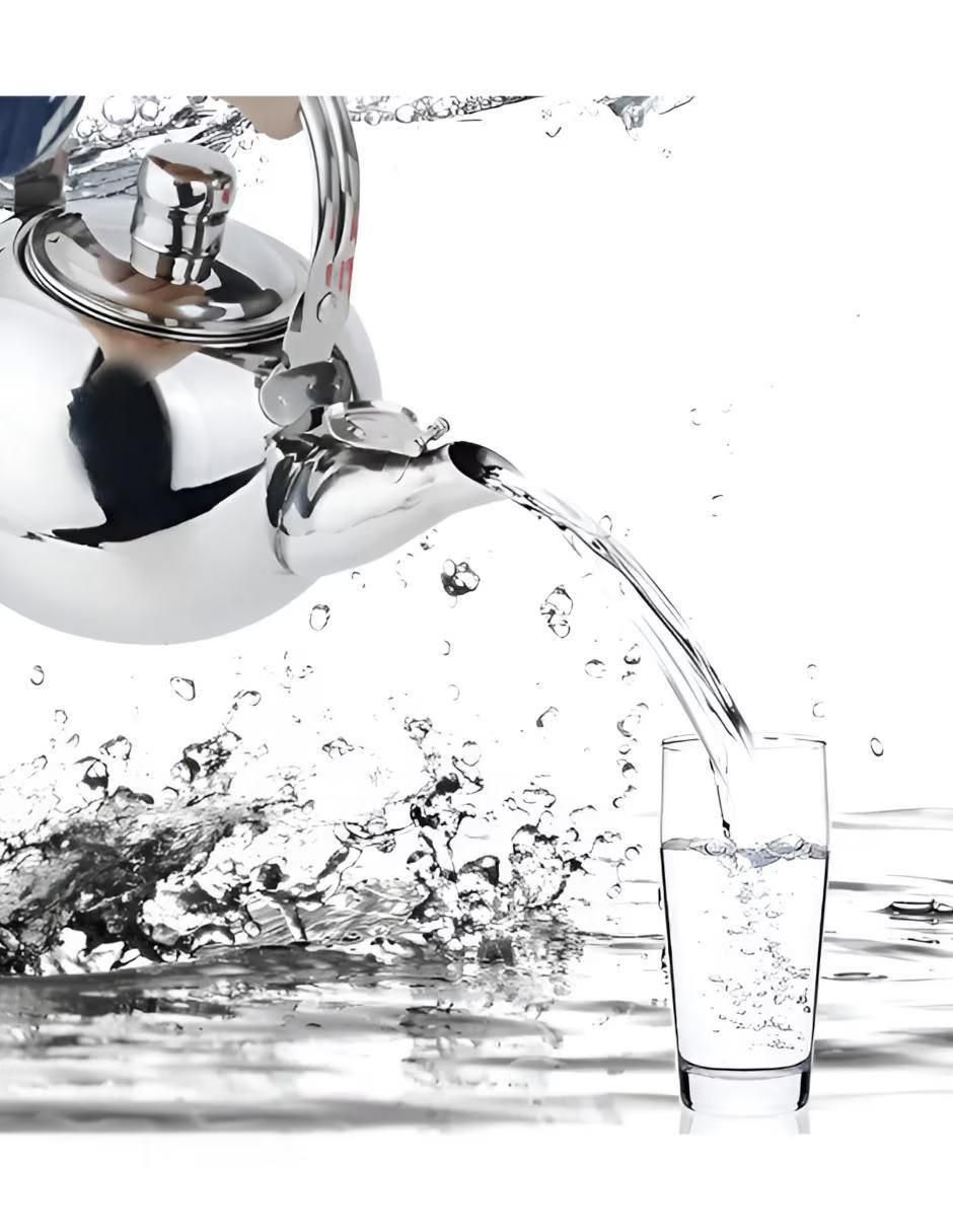 Tetera infusora de acero inoxidable 2