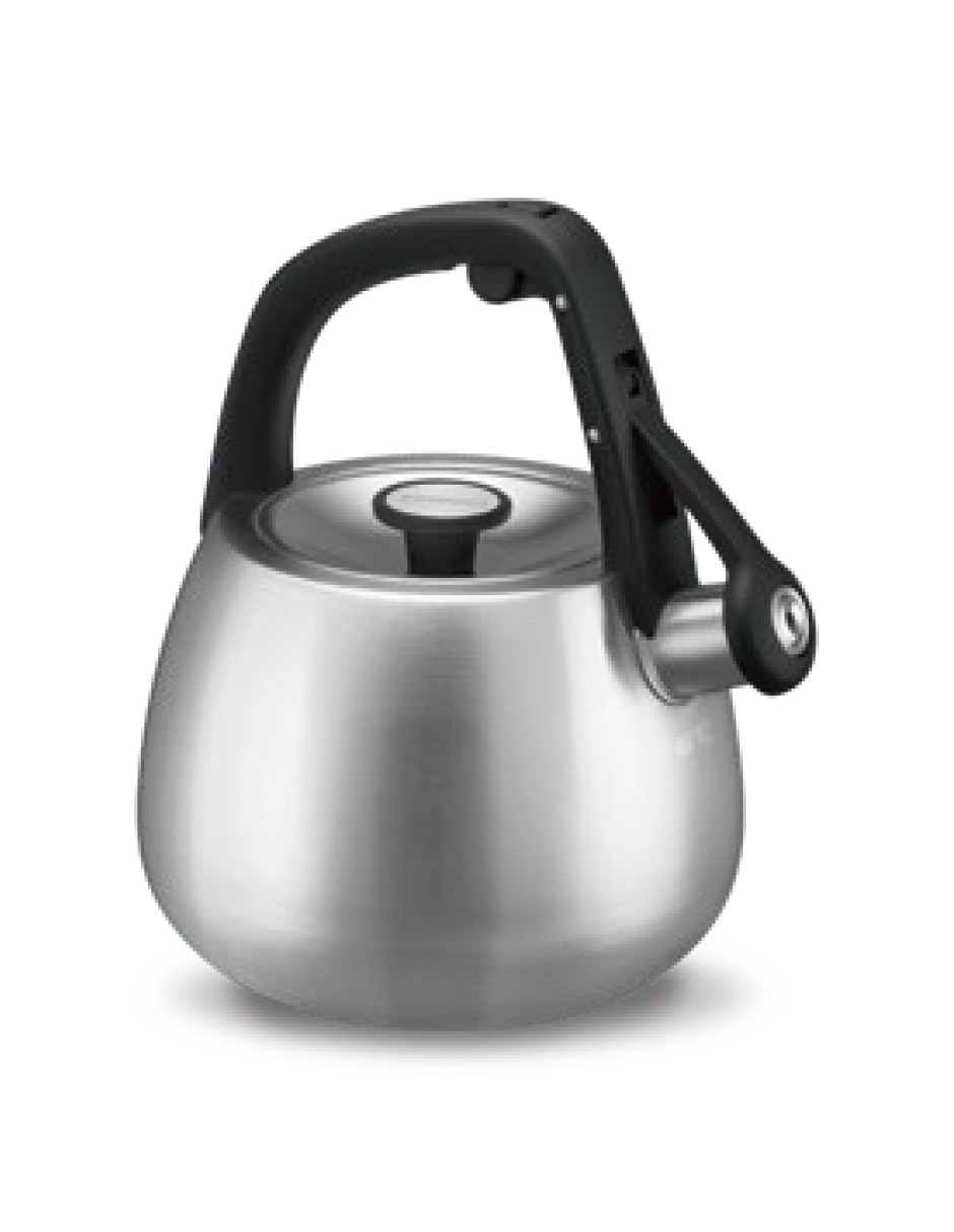 Tetera silbadora de acero inoxidable