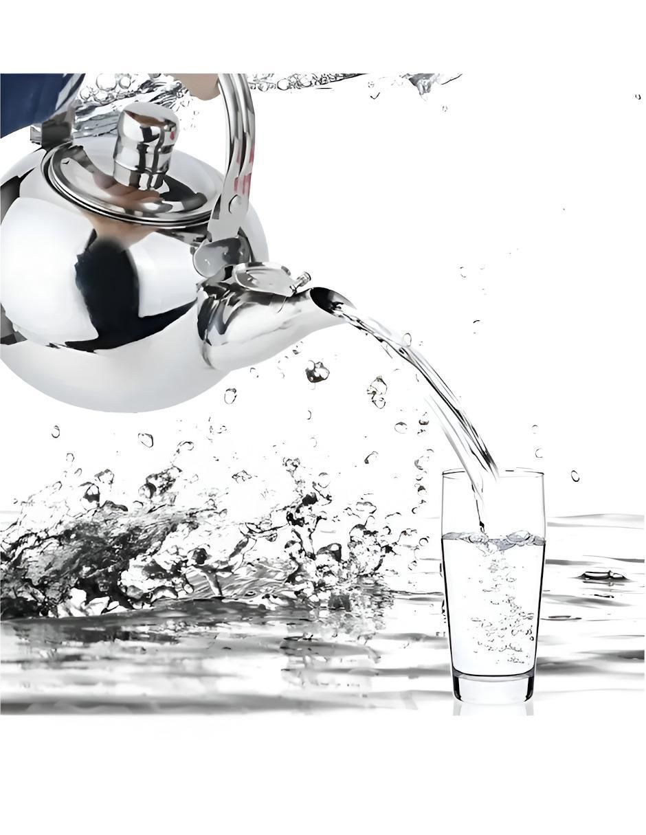 Tetera infusora de acero inoxidable 2