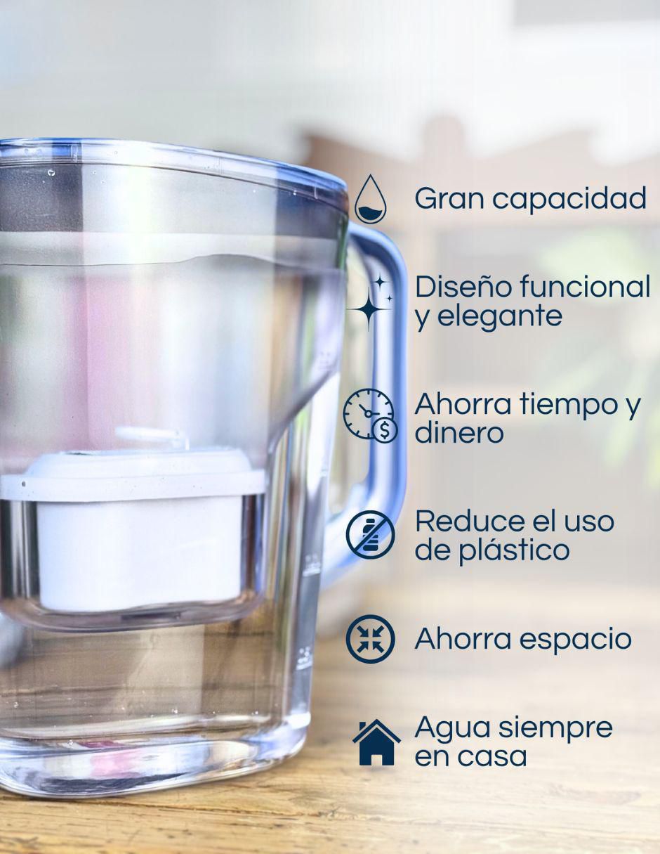 Filtro purificador de agua BSF-1SP 2