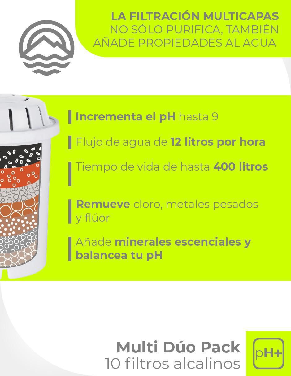 Repuesto filtro agua carbón activado granular 5NWPD11 4