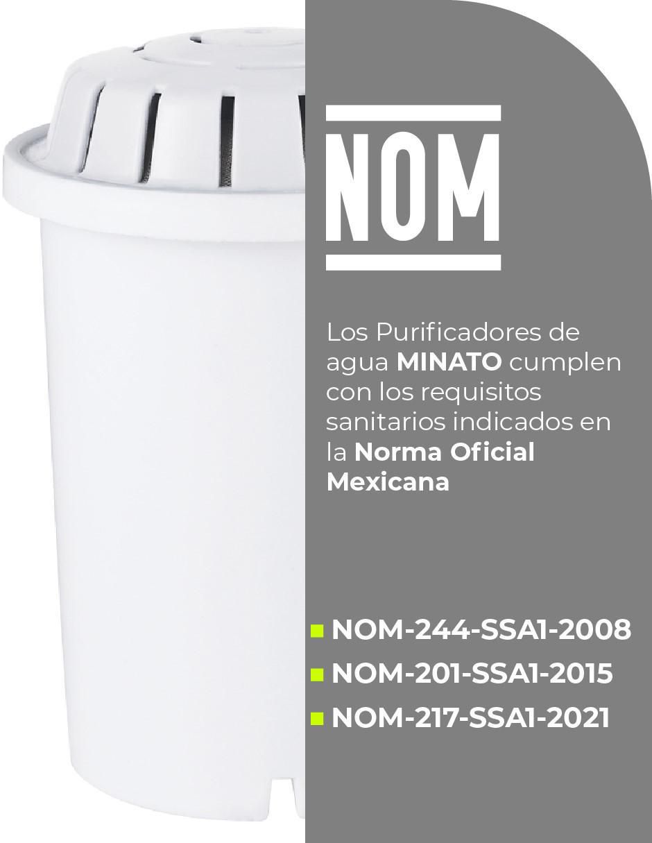 Repuesto filtro agua carbón activado granular 5NWPD11 6