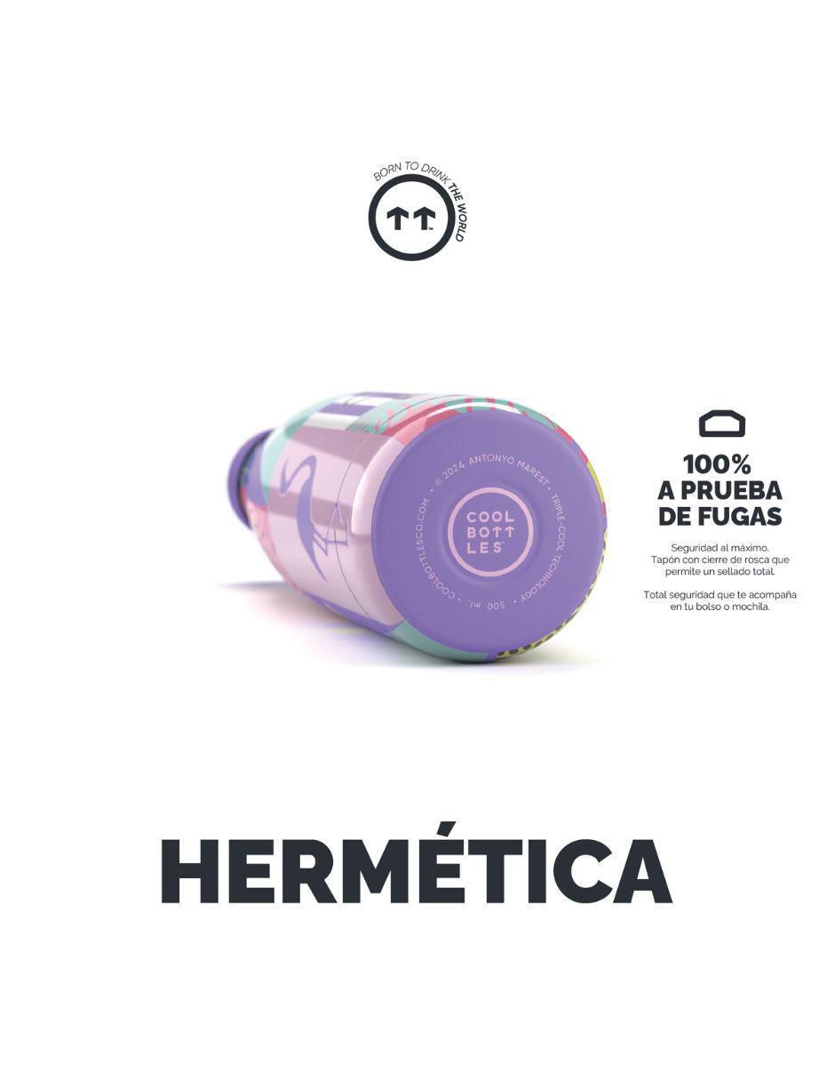 Termo de acero inoxidable René con tapa rosca 500 ml 4
