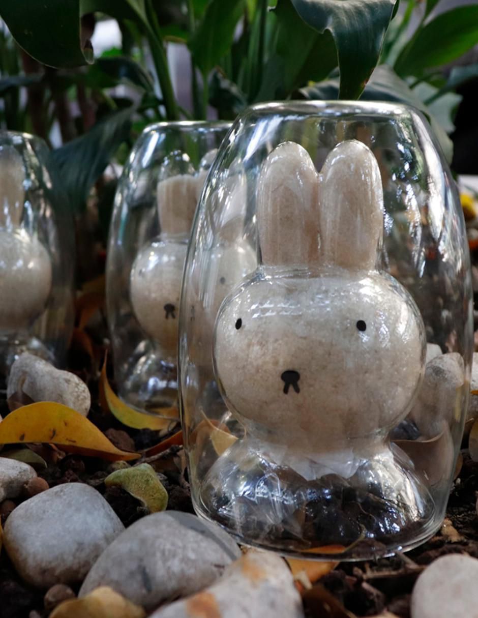 Taza de colección conejo 4