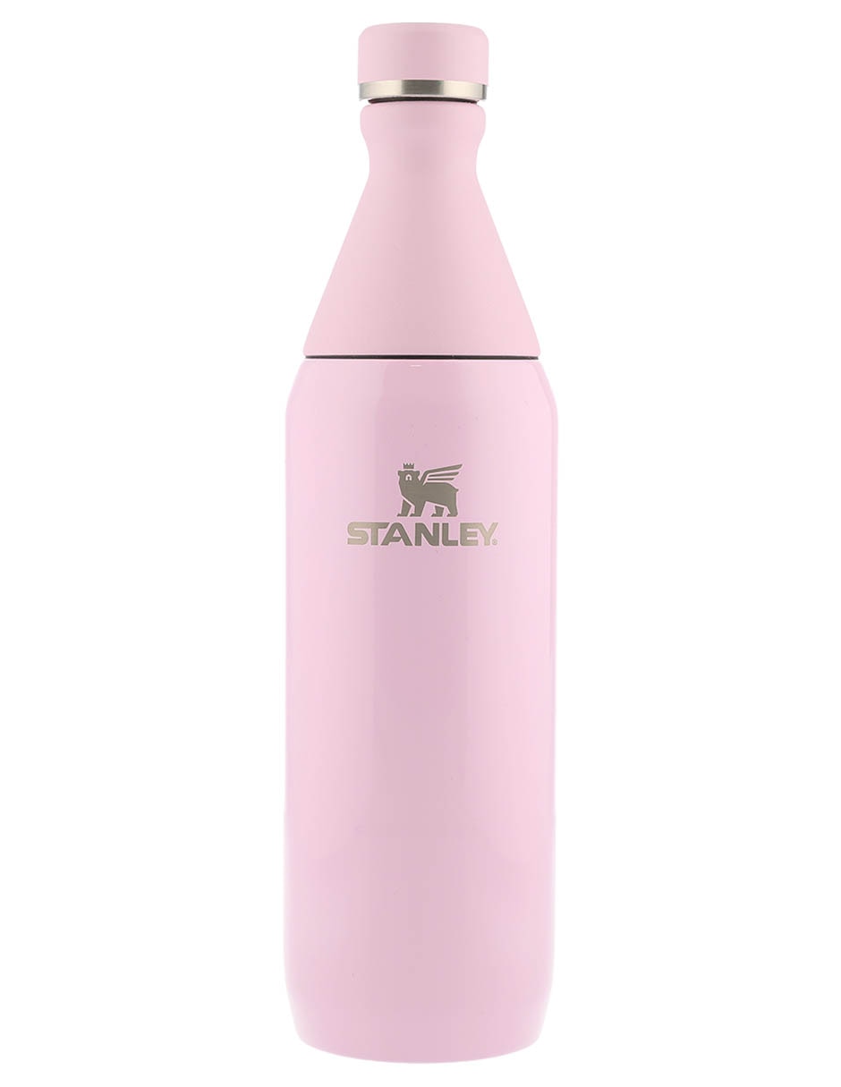 Termo de acero inoxidable The All Day Slim con tapa rosca 591 ml