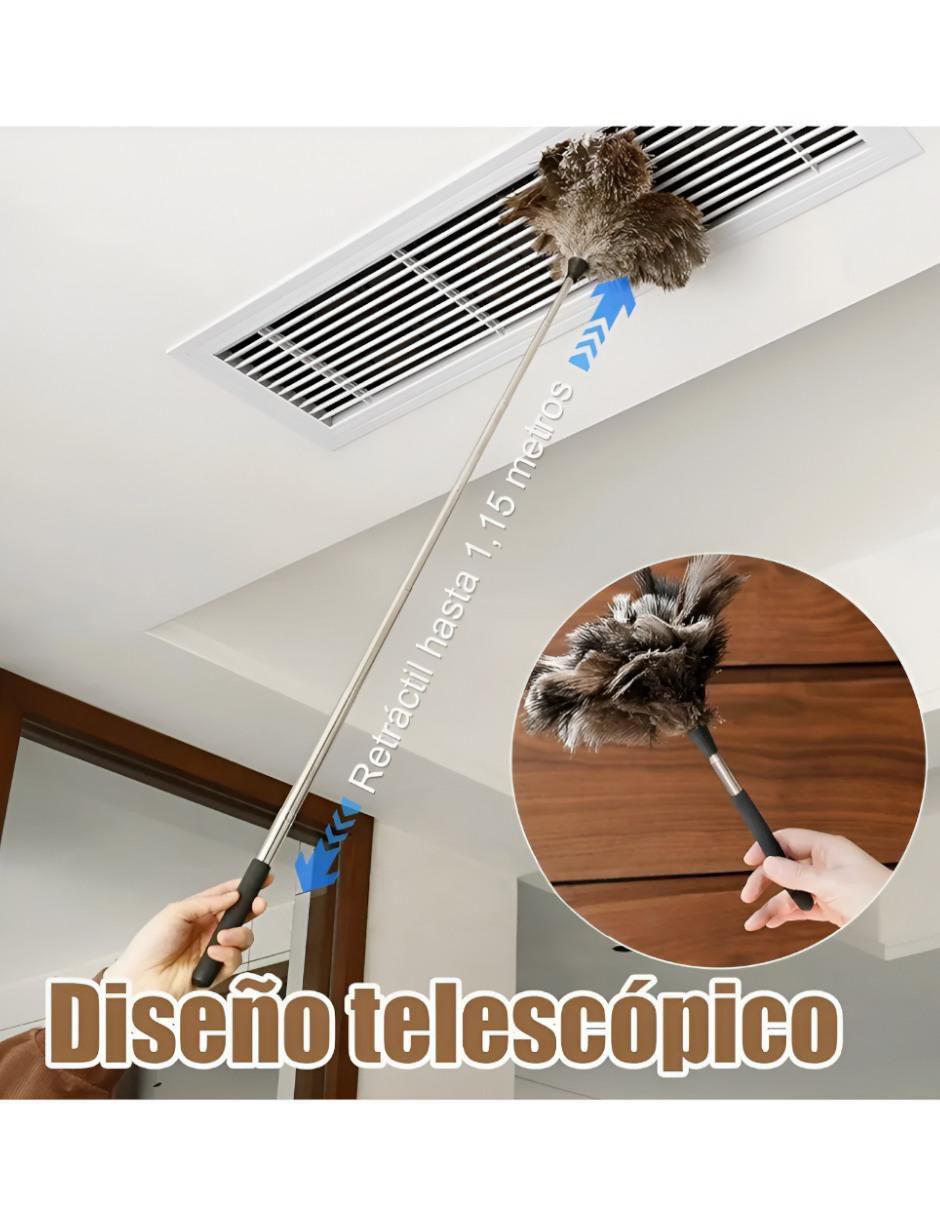 Plumero de plumas 3