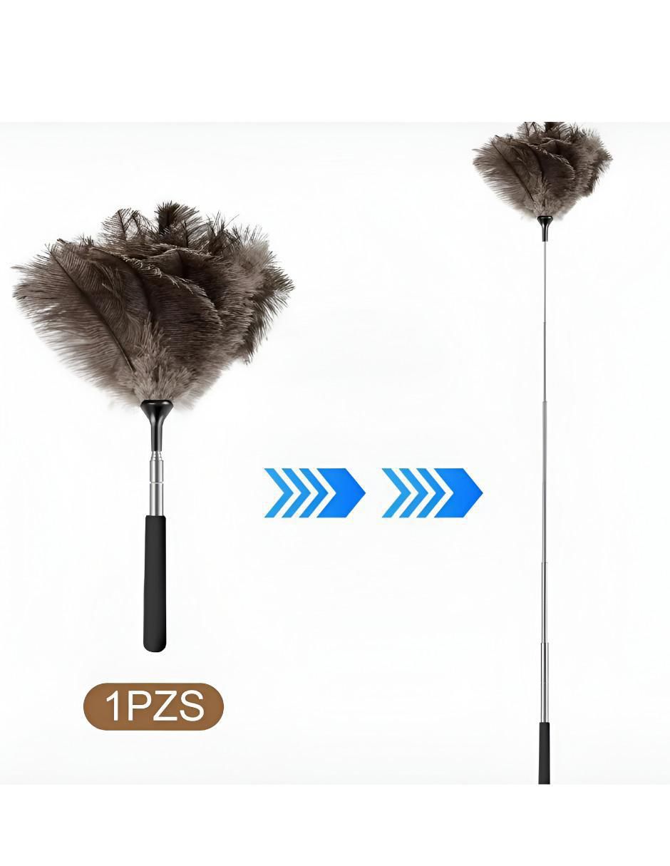 Plumero de plumas 4
